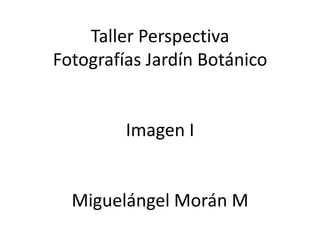 Taller Perspectiva
Fotografías Jardín Botánico
Imagen I
Miguelángel Morán M
 