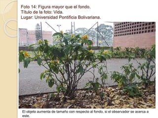 Foto 14: Figura mayor que el fondo. 
Título de la foto: Vida. 
Lugar: Universidad Pontificia Bolivariana. 
El objeto aumenta de tamaño con respecto al fondo, si el observador se acerca a 
este. 
 