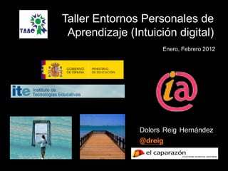 Taller Entornos Personales de
 Aprendizaje (Intuición digital)
                      Enero, Febrero 2012




                Dolors Reig Hernández
                @dreig
 