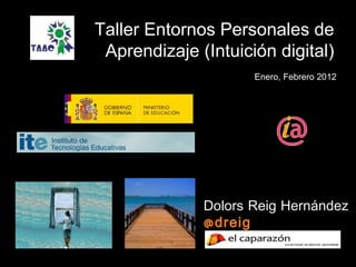 Dolors Reig Hernández @dreig Taller Entornos Personales de Aprendizaje (Intuición digital) Enero, Febrero 2012 