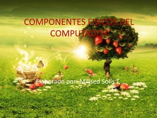 COMPONENTES FISICOS DEL
COMPUTADOR
Elaborado por: Milised Solís T.
 