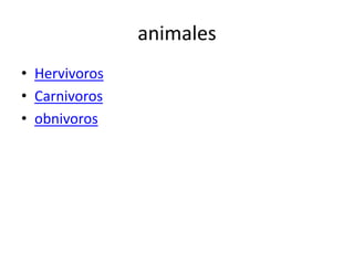 animales
• Hervivoros
• Carnivoros
• obnivoros
 