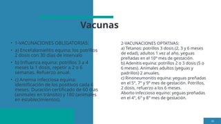Vacunas
• 1-VACUNACIONES OBLIGATORIAS:
• a) Encefalomielitis equina: los potrillos
2 dosis con 30 días de intervalo
• b) Influenza equina: potrillos 3 a 4
meses la 1 dosis, repetir a 2 o 6
semanas. Refuerzo anual.
• c) Anemia infecciosa equina:
identificación de los positivos cada 6
meses. Duración certificado de 60 días
(animales en tránsito) y 180 (animales
en establecimientos).
38
2-VACUNACIONES OPTATIVAS:
a) Tétanos: potrillos 3 dosis (2, 3 y 6 meses
de edad), adultos 1 vez al año, yeguas
preñadas en el 10° mes de gestación.
b) Adenitis equina: potrillos 2 o 3 dosis (5 o
6 meses). Animales adultos (yeguas y
padrillos) 2 anuales.
c) Rinoneumonitis equina: yeguas preñadas
en el 5°, 7° y 9° mes de gestación. Potrillos,
2 dosis, refuerzo a los 6 meses.
Aborto infeccioso equino: yeguas preñadas
en el 4°, 6° y 8° mes de gestación.
 