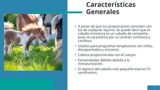 Características
Generales
• A pesar de que sus proporciones coinciden con
las de cualquier equino. Se puede decir que el
caballo miniatura es un caballo de compañía,
pues se caracteriza por su carácter amistoso y
cariñoso.
• Usados para programas terapéuticos con niños,
discapacitados y ancianos.
• Cabeza proporcionada con el cuerpo.
• Extremidades débiles debido a la
miniaturización.
• El registro del caballo más pequeño está en 51
centímetros.
4
 