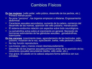 Cambios Físicos En las mujeres : (vello axilar, vello púbico, desarrollo de los pechos, etc.). Primera menstruación. Se pone “panzona” , los órganos empiezan a dilatarse. Engrosamiento abdominal. Caracteres sexuales secundarios: aumento de la cadera, comienzo del desarrollo de las mamas, aparición del vello pubiano, menstruación.  El sistema endocrino relación con aspectos sobre todo neurológicos. La somatrofina actúa sobre el crecimiento en general. Secreción de hormonas estimulantes de las glándulas sexuales:  gonadotrofinas, luteinizante . En los varones : (crecimiento óseo, agrandamiento de los testículos, pelo pubiano, mutación de la voz, eyaculación, barba, vello pectoral y axilar). No hay función reproductora. Los brazos, pies y manos crecen desmesuradamente. Desarrollo de los órganos sexuales primarios antes de la aparición de los caracteres sexuales secundarios (barba, vello axilar, etc.).  Voz grave. El cabello en la cabeza adquiere forma definitiva con sus entradas.  