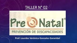 TALLER N° 02 
Prof. Lourdes Verónica Gonzales Garambel 
 