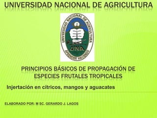 UNIVERSIDAD NACIONAL DE AGRICULTURA




        PRINCIPIOS BÁSICOS DE PROPAGACIÓN DE
            ESPECIES FRUTALES TROPICALES
 Injertación en cítricos, mangos y aguacates


ELABORADO POR: M SC. GERARDO J. LAGOS
 