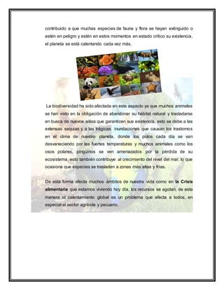 contribuido a que muchas especies de fauna y flora se hayan extinguido o
estén en peligro y estén en estos momentos en estado crítico su existencia,
el planeta se está calentando cada vez más.
La biodiversidad ha sido afectada en este aspecto ya que muchos animales
se han visto en la obligación de abandonar su hábitat natural y trasladarse
en busca de nuevos sitios que garanticen sus existencia, esto se debe a las
extensas sequias y a las trágicas inundaciones que causan los trastornos
en el clima de nuestro planeta, donde los polos cada día se van
desvaneciendo por las fuertes temperaturas y muchos animales como los
osos polares, pingüinos se ven amenazados por la pérdida de su
ecosistema, esto también contribuye al crecimiento del nivel del mar, lo que
ocasiona que especies se trasladen a zonas más altas y frías.
De esta forma afecta muchos ámbitos de nuestra vida como en la Crisis
alimentaria que estamos viviendo hoy día, los recursos se agotan, de esta
manera el calentamiento global es un problema que afecta a todos, en
especial el sector agrícola y pecuario.
 
