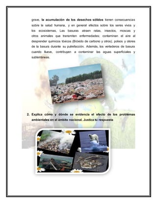 grave, la acumulación de los desechos sólidos tienen consecuencias
sobre la salud humana, y en general efectos sobre los seres vivos y
los ecosistemas, Las basuras atraen ratas, insectos, moscas y
otros animales que transmiten enfermedades; contaminan el aire al
desprender químicos tóxicos (Bióxido de carbono y otros), polvos y olores
de la basura durante su putrefacción. Además, los vertederos de basura
cuando llueve, contribuyen a contaminar las aguas superficiales y
subterráneas.
2. Explica cómo y dónde se evidencia el efecto de los problemas
ambientales en el ámbito nacional. Justica tu respuesta
 