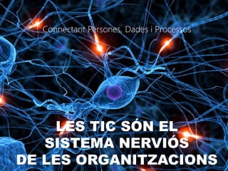 Connectant Persones, Dades i Processos




    LES TIC SÓN EL
   SISTEMA NERVIÓS
DE LES ORGANITZACIONS
 