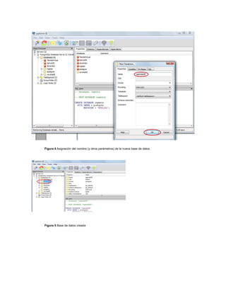 Figura 4 Asignación del nombre (y otros parámetros) de la nueva base de datos




Figura 5 Base de datos creada
 