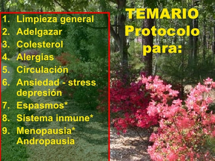 Homeopatía para adelgazar menopausia Homeopatía para adelgazar menopausia
