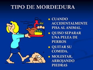TIPO DE MORDEDURA
 CUANDO
ACCIDENTALMENTE
PISA AL ANIMAL.
 QUISO SEPARAR
UNA PELEA DE
PERROS
 QUITAR SU
COMIDA.
 MOLESTAR,
ARROJANDO
PIEDRAS
 