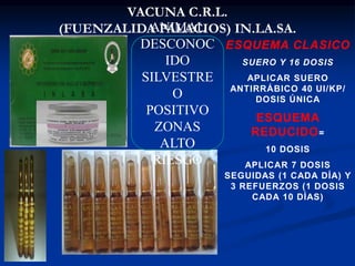 VACUNA C.R.L.
(FUENZALIDA PALACIOS) IN.LA.SA.
ANIMAL
DESCONOC
IDO
SILVESTRE
O
POSITIVO
ZONAS
ALTO
RIESGO
ESQUEMA CLASICO
SUERO Y 16 DOSIS
APLICAR SUERO
ANTIRRÁBICO 40 UI/KP/
DOSIS ÚNICA
ESQUEMA
REDUCIDO=
10 DOSIS
APLICAR 7 DOSIS
SEGUIDAS (1 CADA DÍA) Y
3 REFUERZOS (1 DOSIS
CADA 10 DÍAS)
 