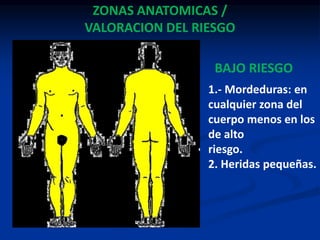 ZONAS ANATOMICAS /
VALORACION DEL RIESGO
1.- Mordeduras: en
cualquier zona del
cuerpo menos en los
de alto
riesgo.
2. Heridas pequeñas.
BAJO RIESGO
 