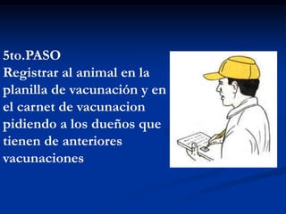 5to.PASO
Registrar al animal en la
planilla de vacunación y en
el carnet de vacunacion
pidiendo a los dueños que
tienen de anteriores
vacunaciones
 