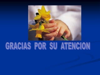 TALLER  RABIA UNO 2023.ppt