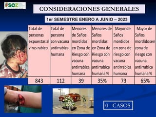 CONSIDERACIONES GENERALES
Total de
personas
expuestas al
virus rabico
Total de
persona
con vacuna
antirrabica
humana
Menores
de 5años
mordidas
en Zona de
Riesgo con
vacuna
antirrabica
humana
Menores de
5años
mordidas
en Zona de
Riesgo con
vacuna
antirrabica
humana %
Mayor de
5años
mordidos
en zona de
riesgo con
vacuna
antirrabica
humana
Mayor de
5años
mordidosen
zona de
riesgo con
vacuna
antirrabica
humana %
843 112 39 35% 73 65%
1er SEMESTRE ENERO A JUNIO – 2023
0 CASOS
 
