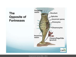 El liderazgo en la redLiderazgo tradicionalLiderazgo en una redPosición, autoridad