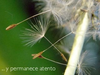 ... y permanece atento
 