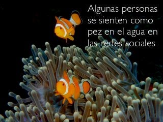 Algunas personas
se sienten como
pez en el agua en
las redes sociales
 