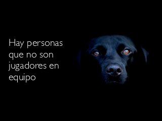Hay personas
que no son
jugadores en
equipo
 