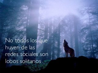No todos los que
huyen de las
redes sociales son
lobos solitarios
 