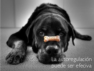 La autoregulación
puede ser efeciva
 
