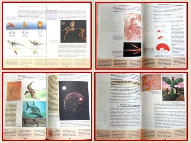 diferencia entre preguntas inferenciales y literales taller el aula como comunidad de estudio fabiana r 237 os y diferencia entre preguntas inferenciales y literales taller el aula como comunidad de estudio fabiana r 237 os y