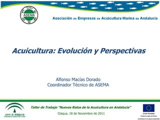 Acuicultura: Evolución y Perspectivas


                   Alfonso Macías Dorado
               Coordinador Técnico de ASEMA



     Taller de Trabajo “Nuevos Retos de la Acuicultura en Andalucía”
                      Ctaqua, 18 de Noviembre de 2011
 