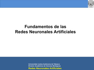 Fundamentos de las Redes Neuronales Artificiales Universidad Juárez Autónoma de Tabasco	 División Académica de Ciencias Biológicas Redes Neuronales Artificiales 