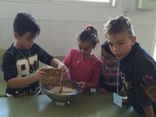 Tallers del 1r cicle (1ª aval.)