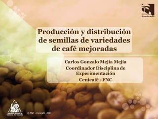 Producción y distribución
         de semillas de variedades
             de café mejoradas
                         Carlos Gonzalo Mejía Mejía
                         Coordinador Disciplina de
                              Experimentación
                               Cenicafé - FNC




© FNC - Cenicafé, 2011
 