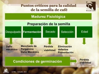 Taller semillas 2011 Carlos Gonzalo Mejia