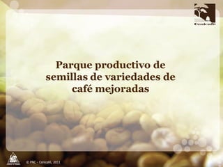 Taller semillas 2011 Carlos Gonzalo Mejia