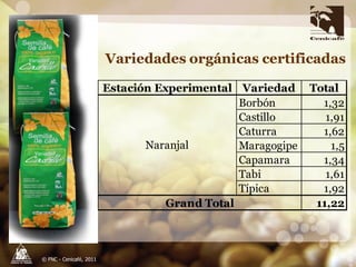 Taller semillas 2011 Carlos Gonzalo Mejia