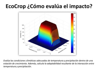 Taller semillas 2011 Emmanuel Zapata