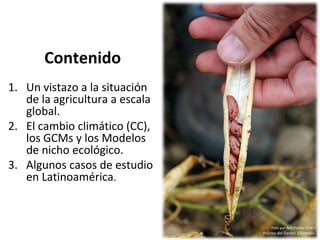 Taller semillas 2011 Emmanuel Zapata