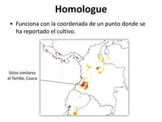 Taller semillas 2011 Emmanuel Zapata