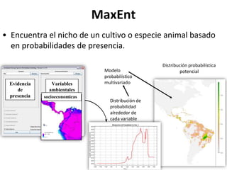 Taller semillas 2011 Emmanuel Zapata