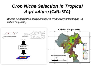 Taller semillas 2011 Emmanuel Zapata
