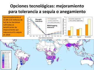 Taller semillas 2011 Emmanuel Zapata