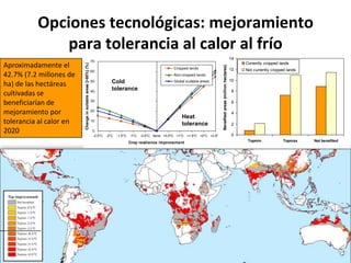 Taller semillas 2011 Emmanuel Zapata