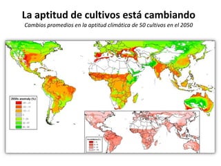 Taller semillas 2011 Emmanuel Zapata