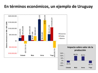 Taller semillas 2011 Emmanuel Zapata