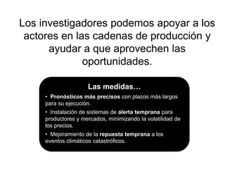 Taller semillas 2011 Emmanuel Zapata