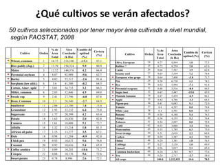 Taller semillas 2011 Emmanuel Zapata