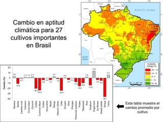 Taller semillas 2011 Emmanuel Zapata