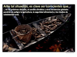 Taller semillas 2011 Emmanuel Zapata