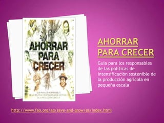 Taller semillas 2011 Gonzalo Tejada